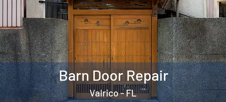  Barn Door Repair Valrico - FL