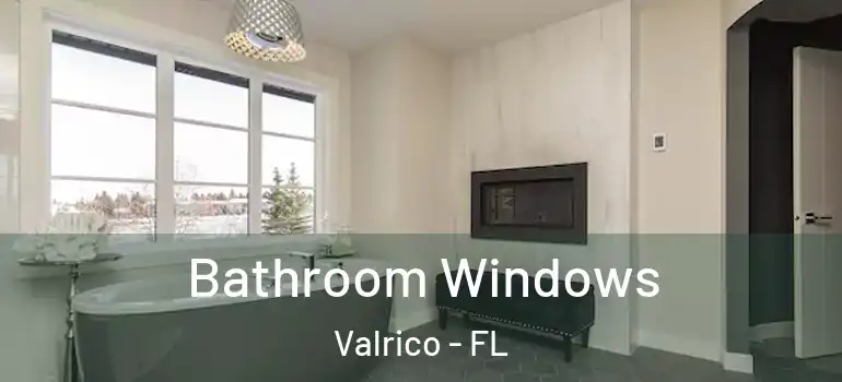  Bathroom Windows Valrico - FL
