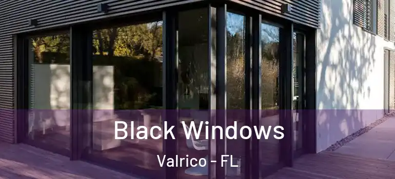 Black Windows Valrico - FL
