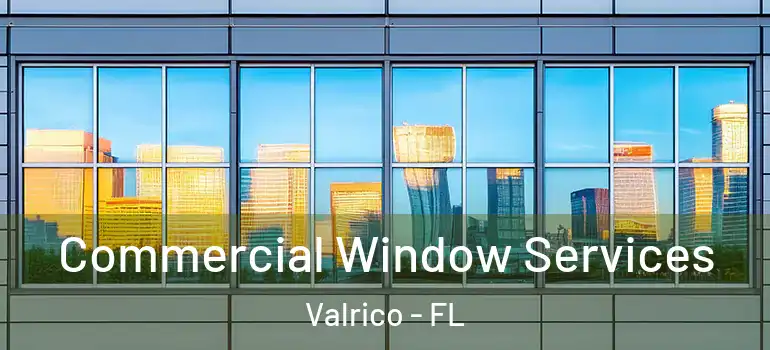  Commercial Window Services Valrico - FL