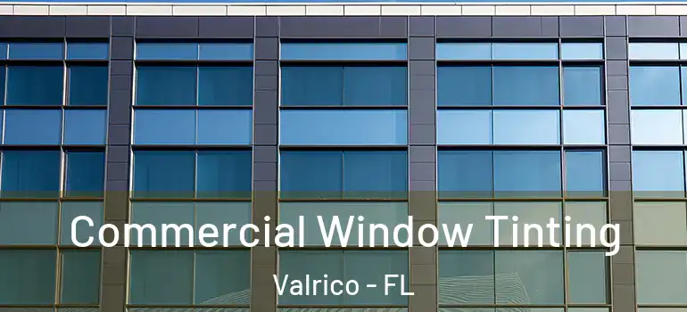 Commercial Window Tinting Valrico - FL