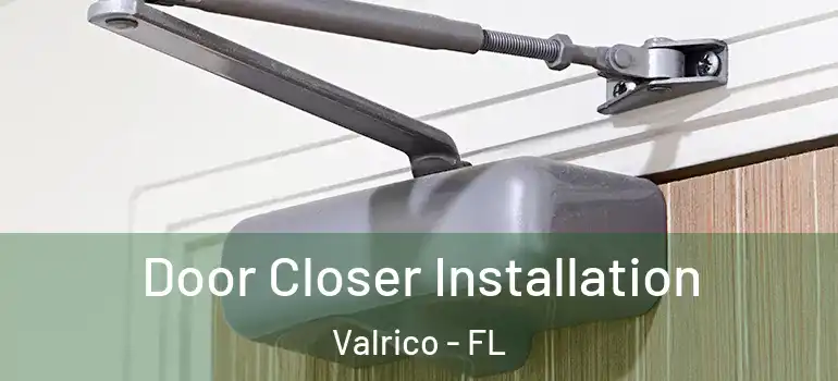  Door Closer Installation Valrico - FL