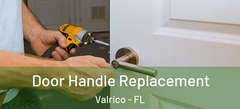  Door Handle Replacement Valrico - FL