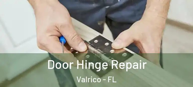 Door Hinge Repair Valrico - FL