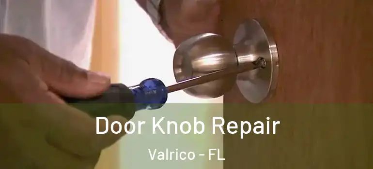  Door Knob Repair Valrico - FL
