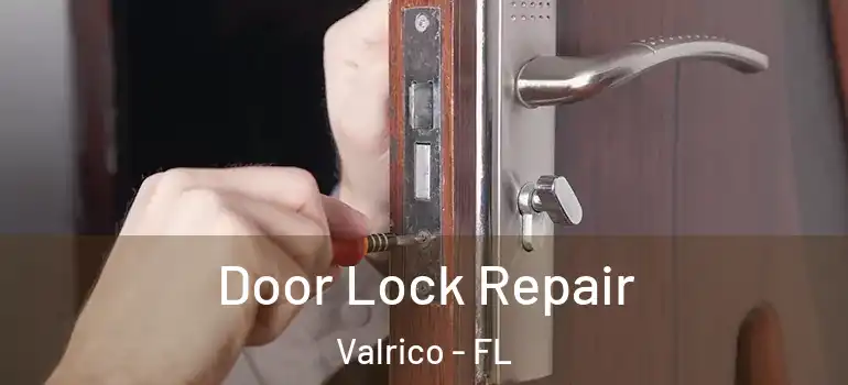  Door Lock Repair Valrico - FL