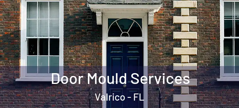  Door Mould Services Valrico - FL