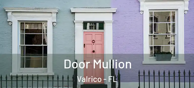  Door Mullion Valrico - FL
