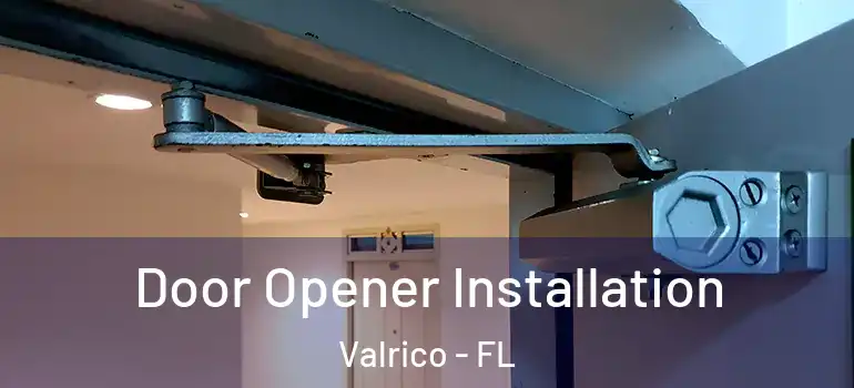 Door Opener Installation Valrico - FL