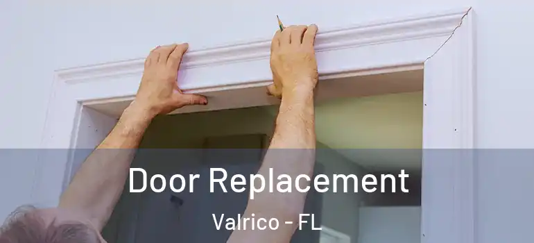 Door Replacement Valrico - FL