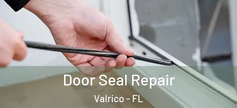  Door Seal Repair Valrico - FL