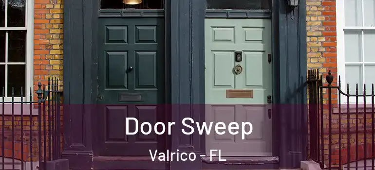  Door Sweep Valrico - FL