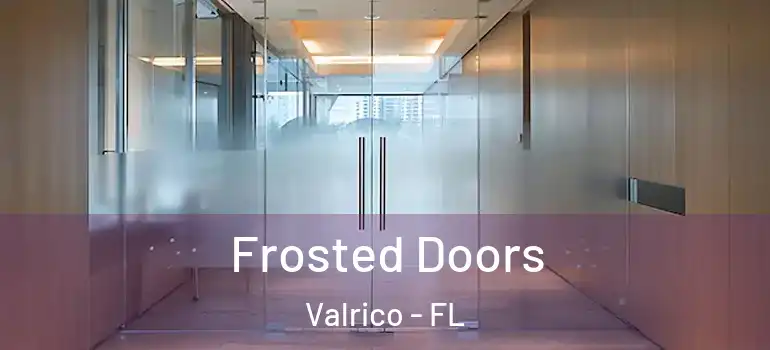 Frosted Doors Valrico - FL