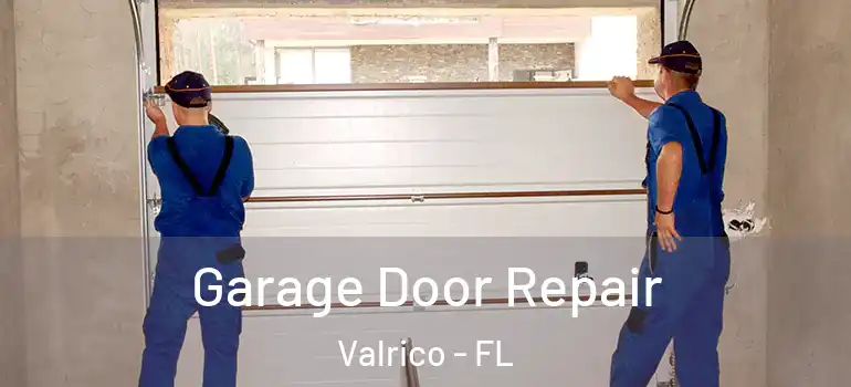  Garage Door Repair Valrico - FL