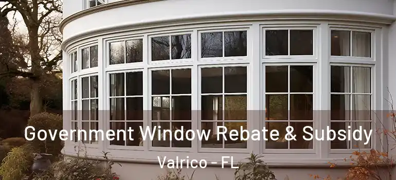  Government Window Rebate & Subsidy Valrico - FL