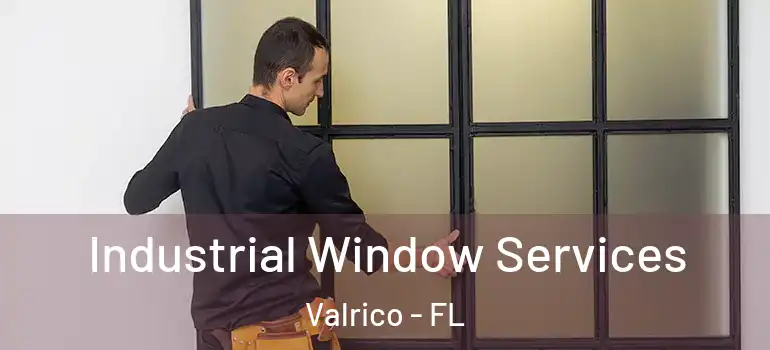  Industrial Window Services Valrico - FL