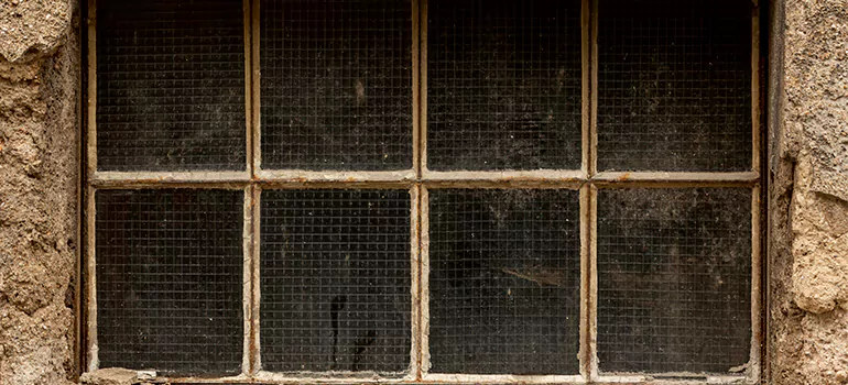 Traditional Double Front Doors in Valrico, FL