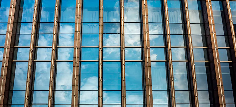 Professional Window Tinting Services in Valrico, FL