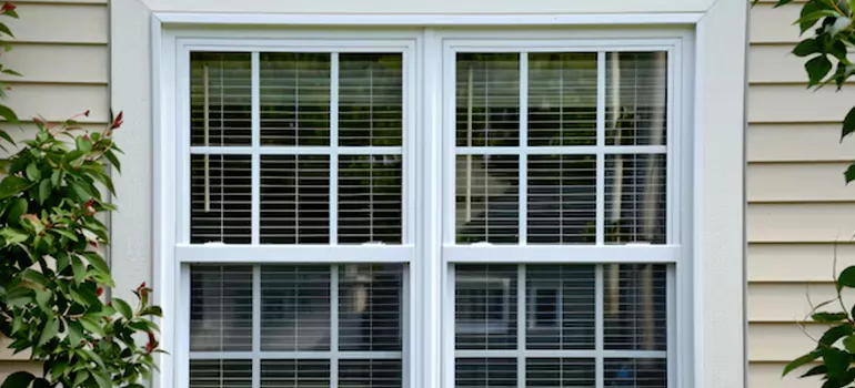 Custom Double Hung Windows in Valrico, FL