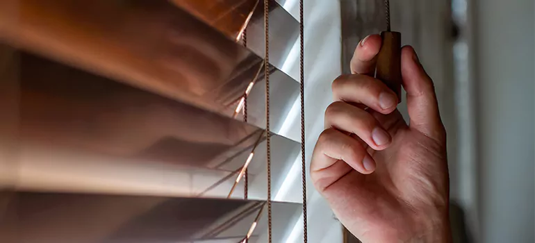 Double Roller Blinds in Valrico, FL