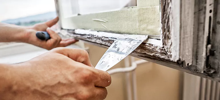 Exterior Window Frame Repair in Valrico, FL