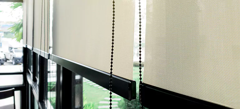 Blackout Window Shades in Valrico, FL