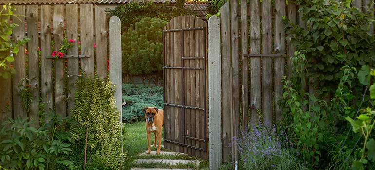 Winter Garden Garage Door Repair in Valrico,[location field=state]