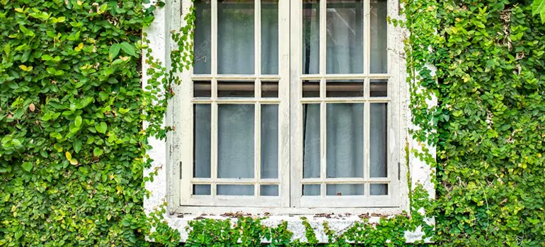 Garden Window Repair Near Me in Valrico, FL