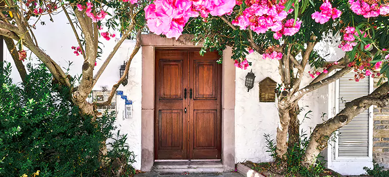 Traditional 4 Panel Internal Doors in Valrico, FL