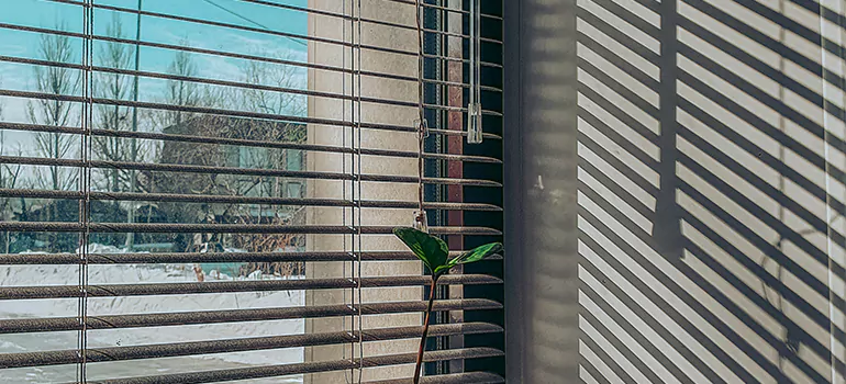 Commercial Window Blinds in Valrico, FL