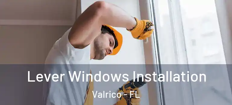  Lever Windows Installation Valrico - FL
