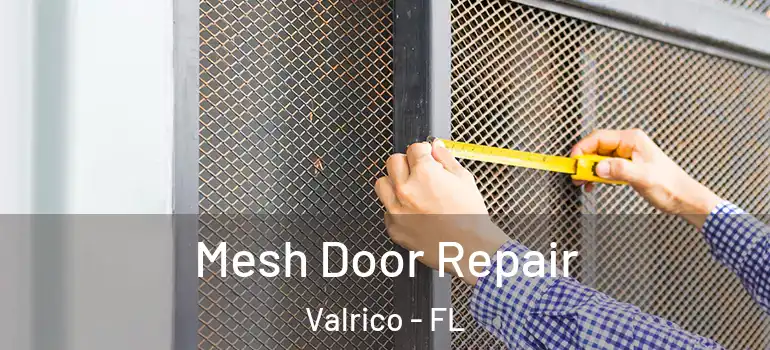  Mesh Door Repair Valrico - FL