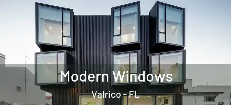 Modern Windows Valrico - FL