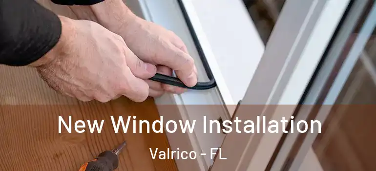  New Window Installation Valrico - FL