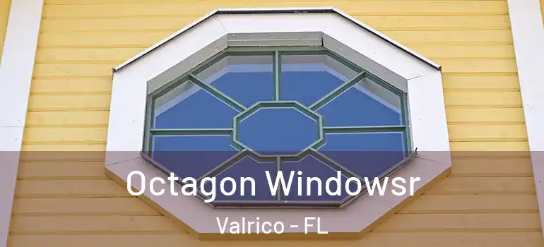  Octagon Windowsr Valrico - FL