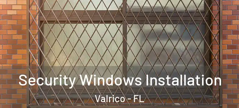  Security Windows Installation Valrico - FL