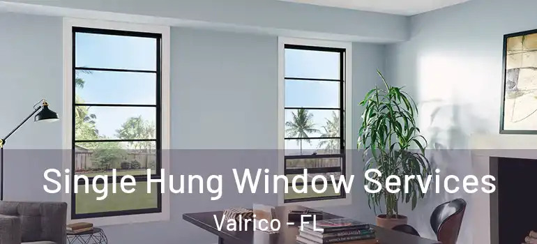 Single Hung Window Services Valrico - FL