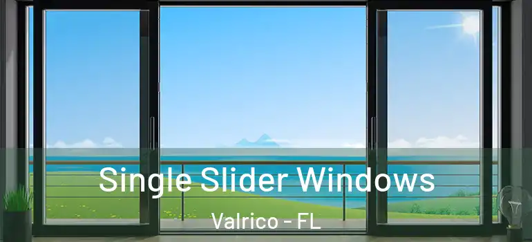 Single Slider Windows Valrico - FL
