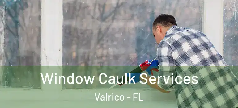  Window Caulk Services Valrico - FL