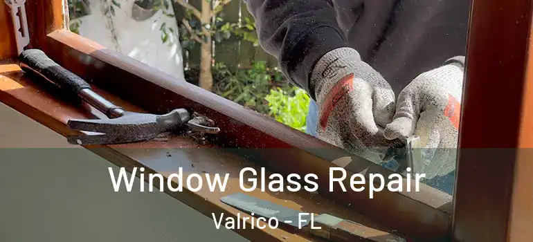  Window Glass Repair Valrico - FL