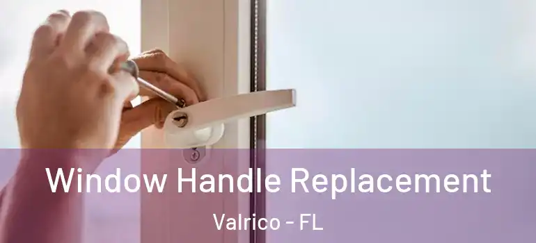  Window Handle Replacement Valrico - FL
