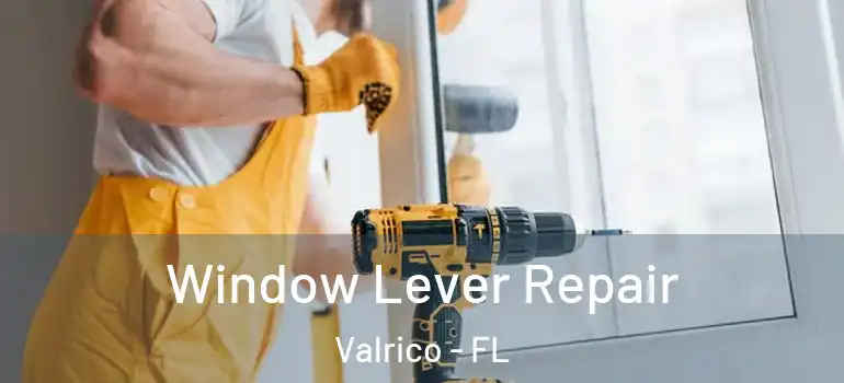  Window Lever Repair Valrico - FL