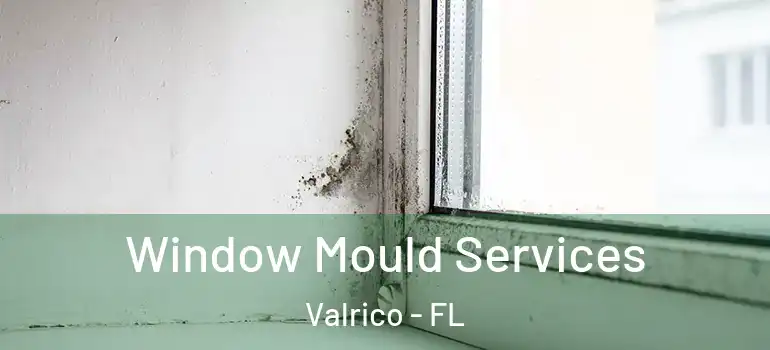  Window Mould Services Valrico - FL
