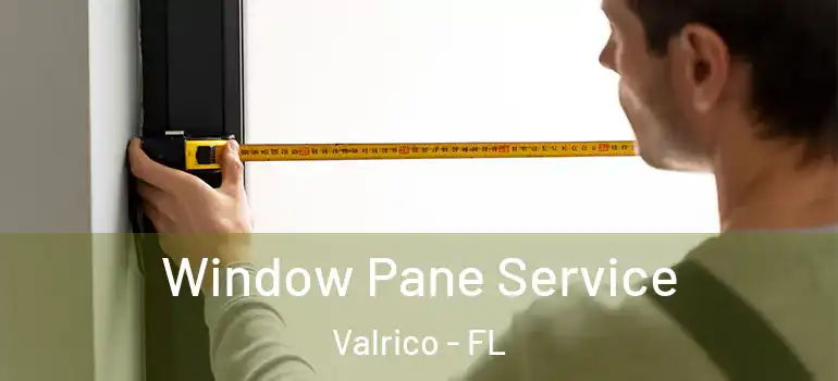 Window Pane Service Valrico - FL