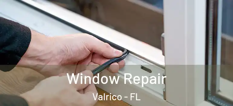  Window Repair Valrico - FL