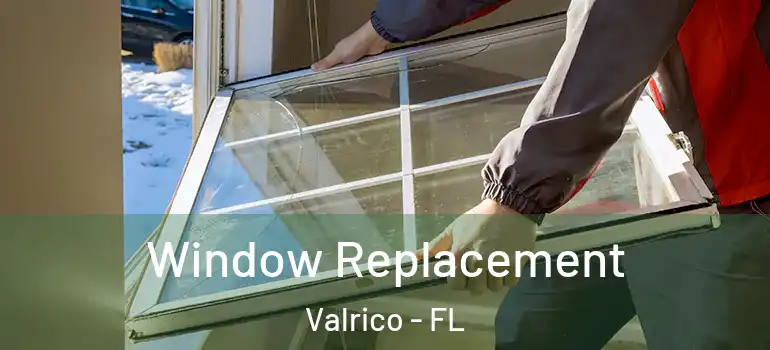 Window Replacement Valrico - FL