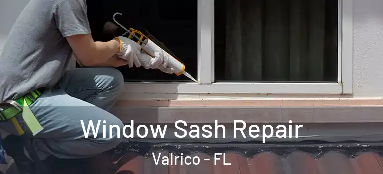 Window Sash Repair Valrico - FL