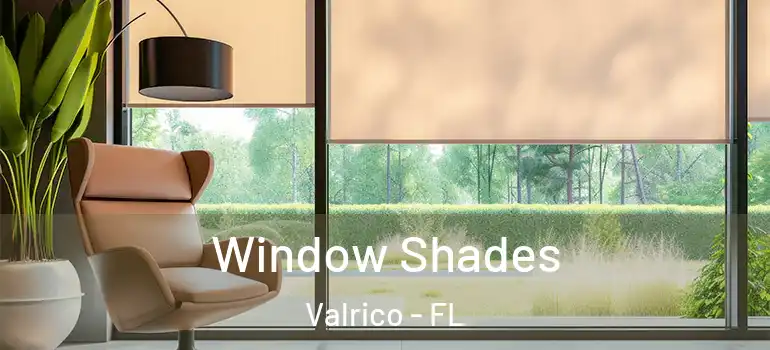  Window Shades Valrico - FL