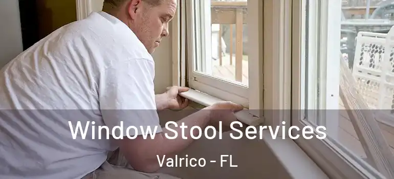  Window Stool Services Valrico - FL