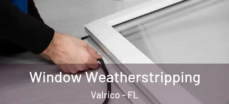  Window Weatherstripping Valrico - FL